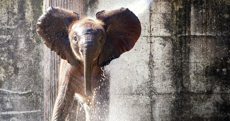 Monétiser son blog de photographie de voyage en Afrique : le guide complet